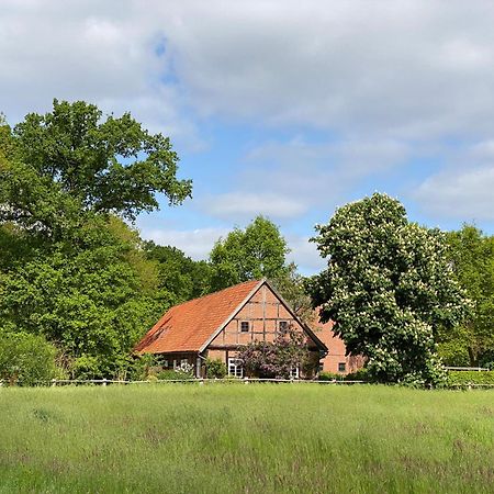 Ferienhaeuser Weitblick Gilten Bagian luar foto