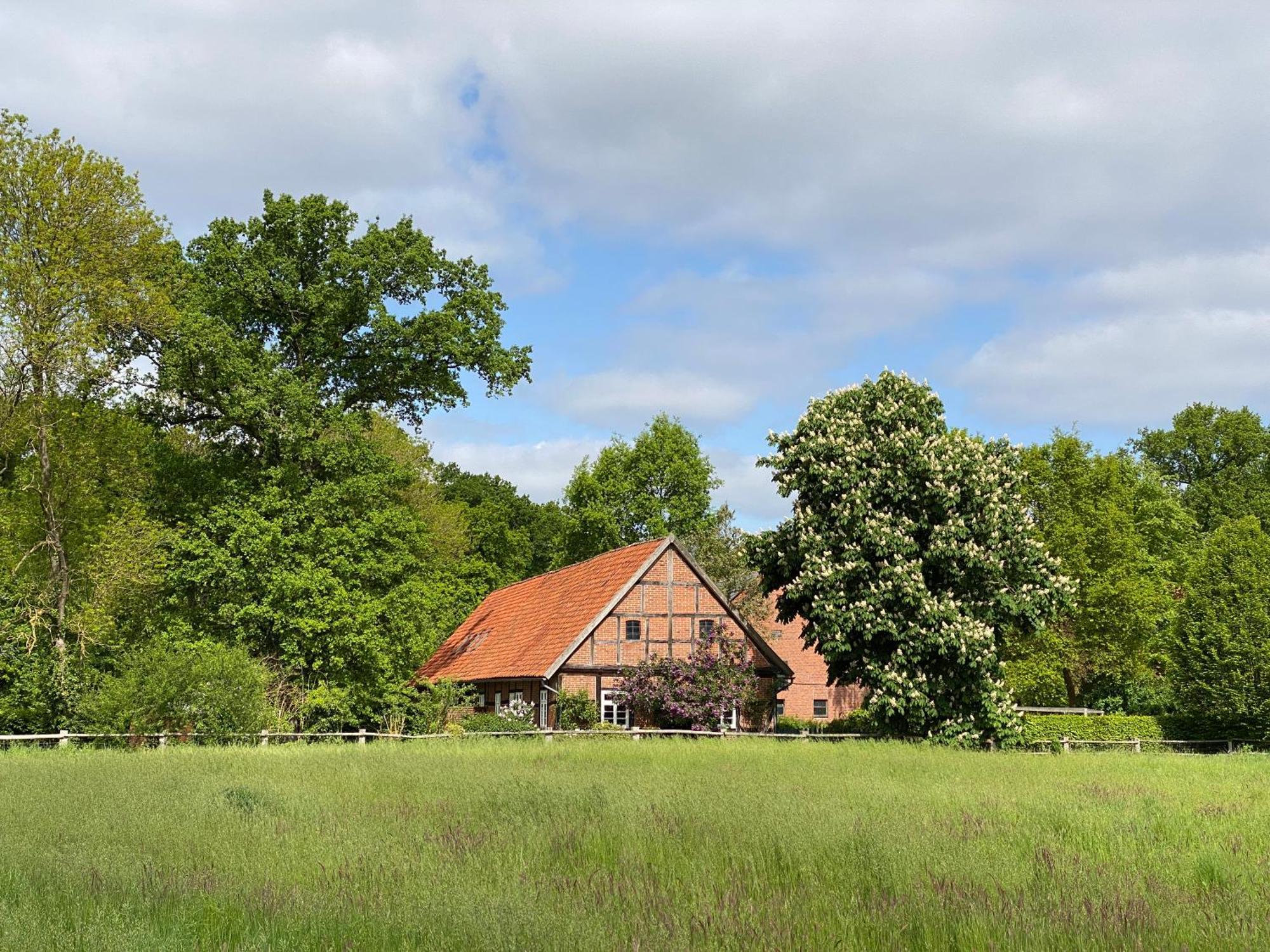 Ferienhaeuser Weitblick Gilten Bagian luar foto